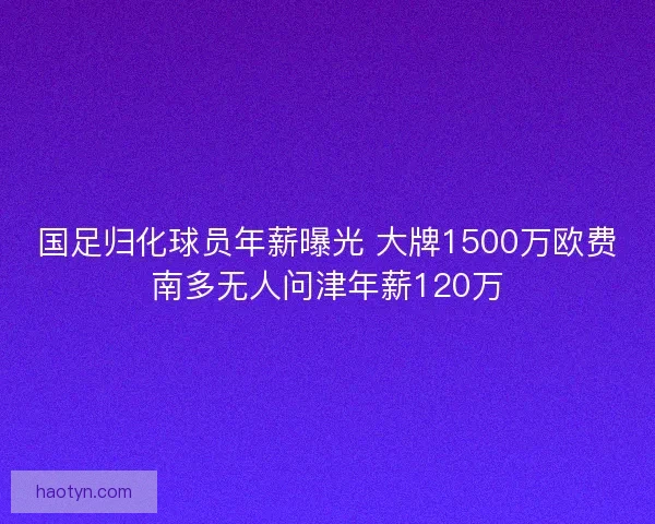 国足归化球员年薪曝光 大牌1500万欧费南多无人问津年薪120万