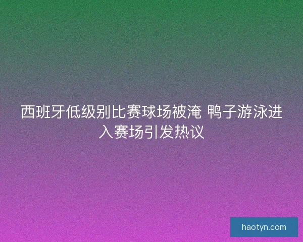 西班牙低级别比赛球场被淹 鸭子游泳进入赛场引发热议 西班牙低级别比赛球场被淹 鸭子游泳进入赛场引发热议