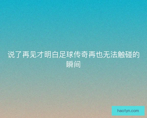 说了再见才明白足球传奇再也无法触碰的瞬间